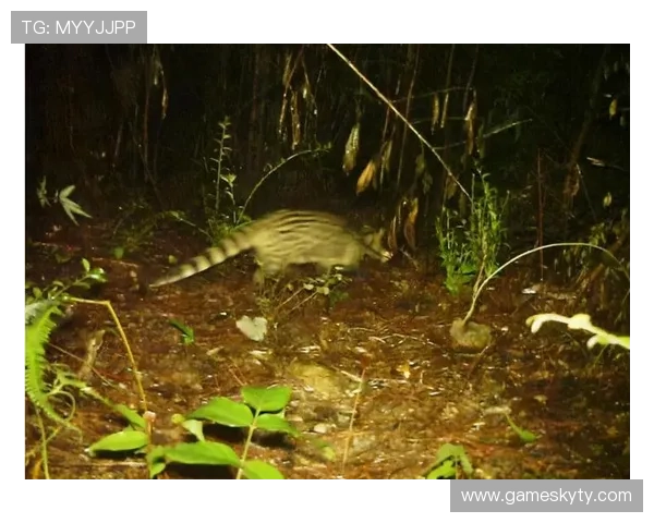 KY体育官网APP官方平台安全可靠,全面介绍注册登录流程及账号保护措施 KY体育官网APP官方平台安全可靠,全面介绍注册登录流程及账号保护措施